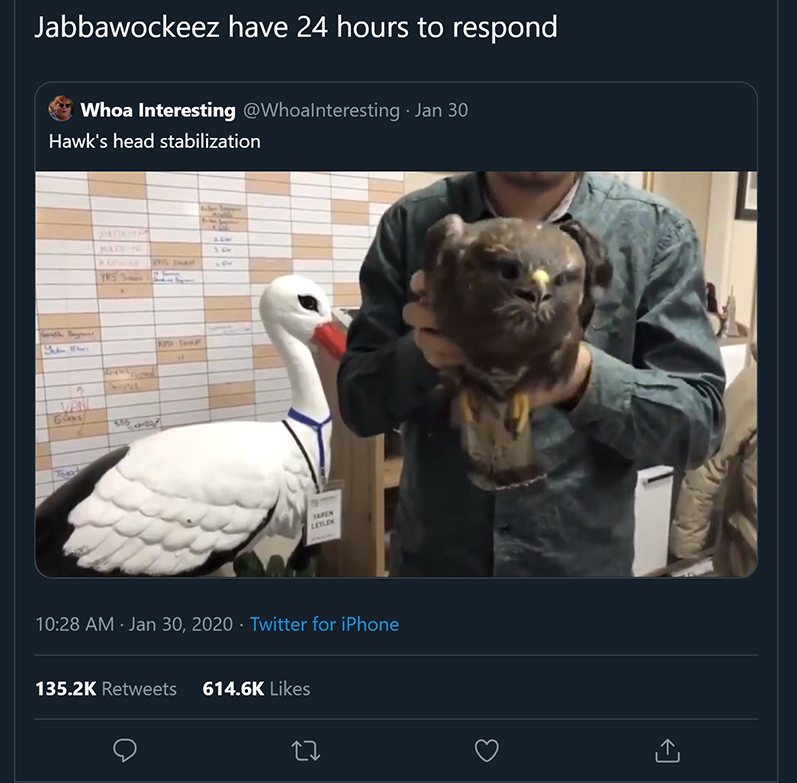 Jabbawockeez respond to a Hawk within 24 hrs on Twitter